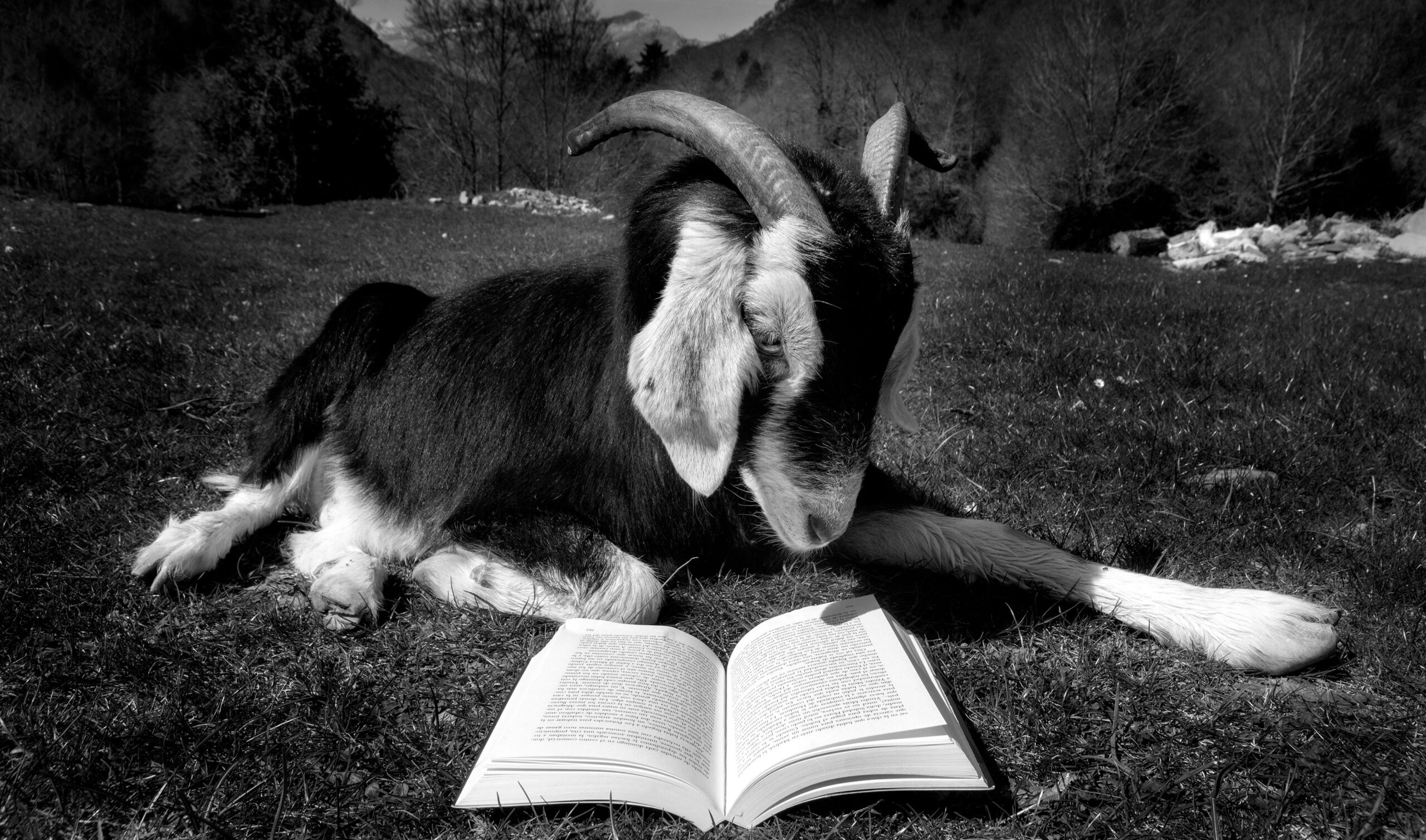 La barbastrense Katerina Buil gana el premio del público Lucien Briet