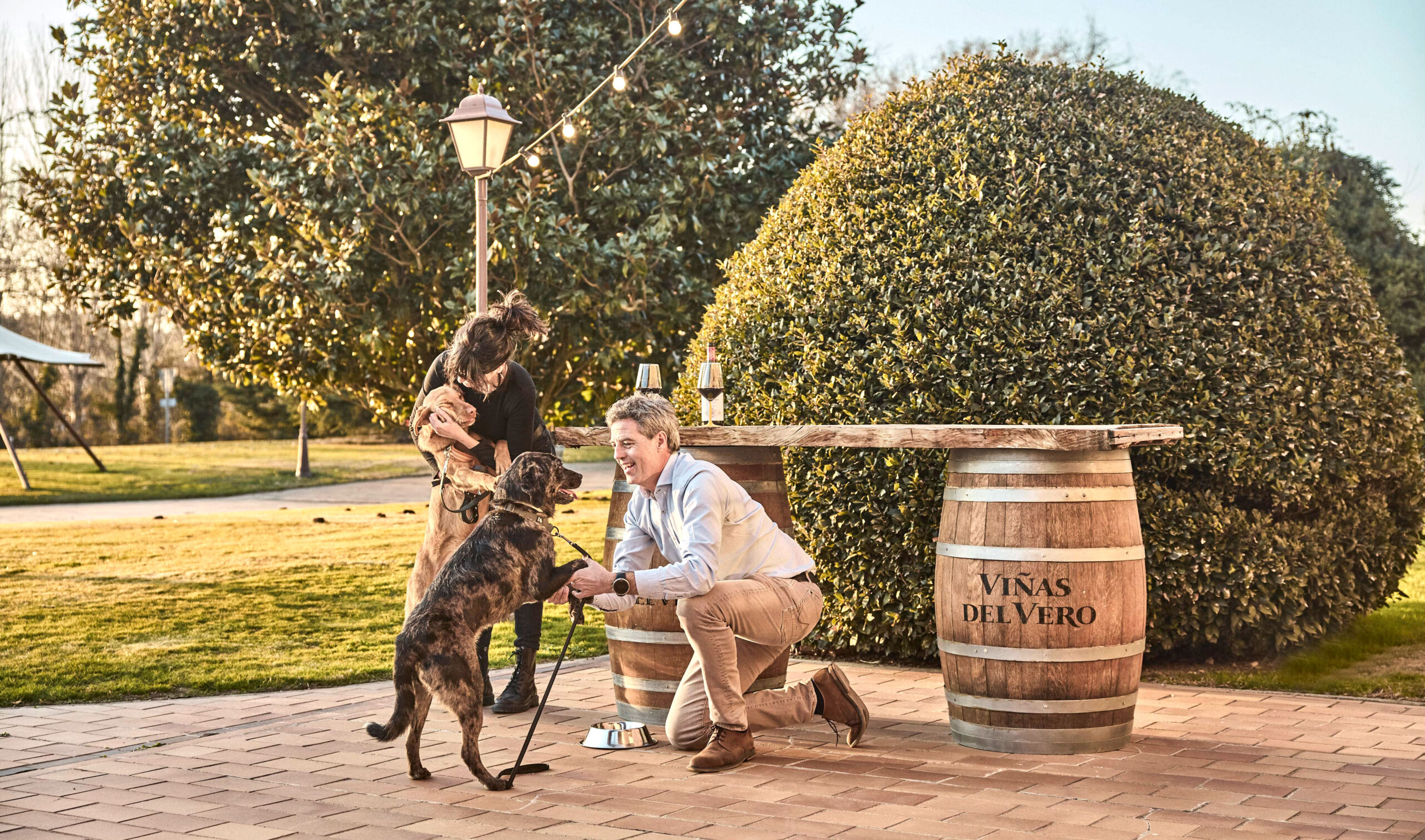 La Ruta del Vino Somontano, finalista de los International Wine Challenge Industry Awards 2026